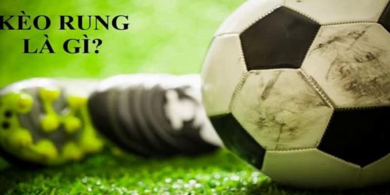 Hướng Dẫn Cách Đọc Kèo Rung Bóng Đá Chi Tiết Cực Chuẩn Khái niệm cơ bản về kèo rung bóng đá