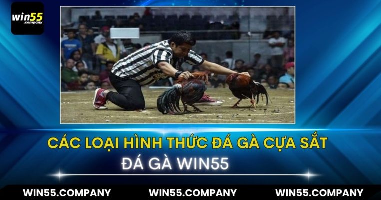 Đá Gà Cựa Sắt: Trò Chơi Trực Tuyến Vạn Người Mê các loại hình đá gà cựa sắt thomo